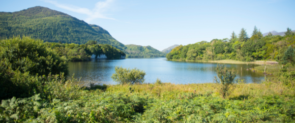 Rural area near a lake in Killarney, Ireland, ideal for 2023 motorhome holidays.